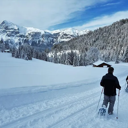 Arpitan - - Grand Massif Chalet *