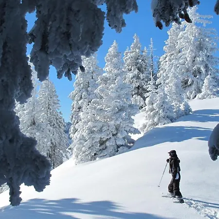 Arpitan - - Grand Massif