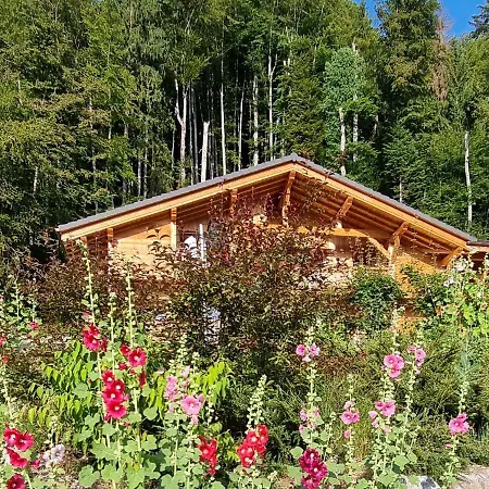 Chalet Arpitan - - Grand Massif