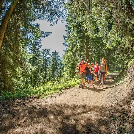 Arpitan - - Grand Massif