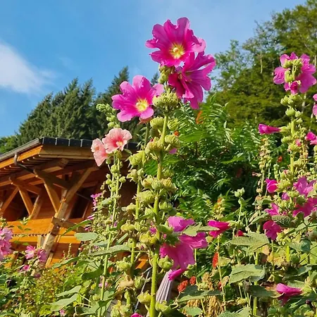 Arpitan - - Grand Massif Chalet Les Carroz d'Araches